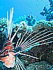 IMG_9612.JPG