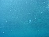 IMG_9619.JPG