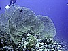 IMG_9620.JPG