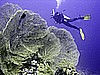 IMG_9621.JPG