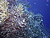 IMG_9627.JPG