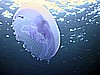 IMG_9629.JPG