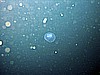 IMG_9632.JPG