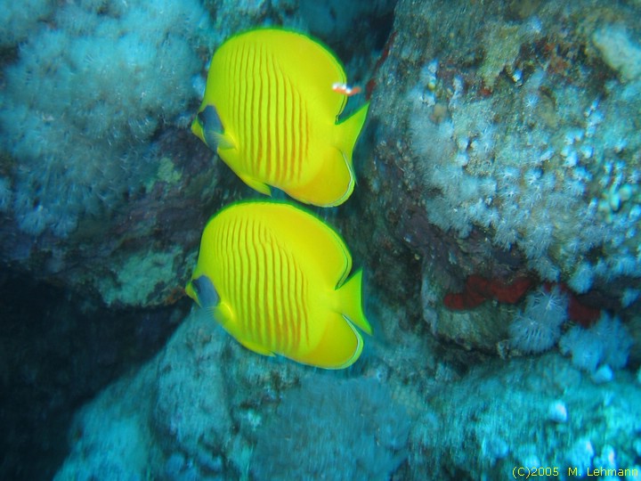 IMG_9666.JPG
