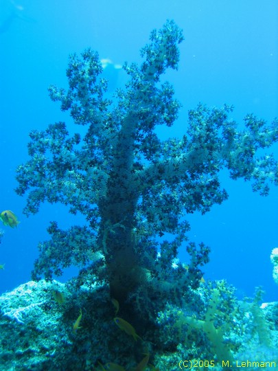 IMG_9669.JPG