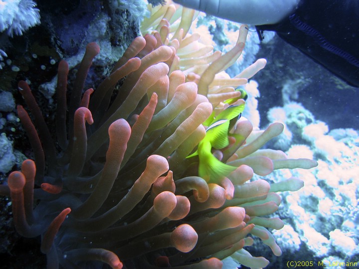 IMG_9683.JPG