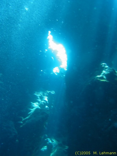 IMG_9709.JPG