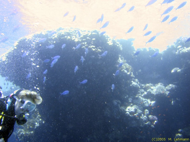 IMG_9715.JPG
