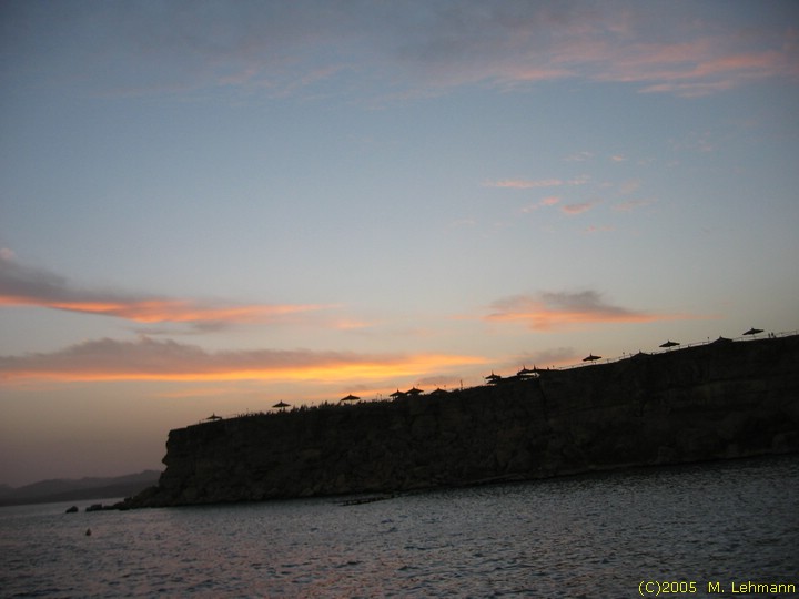 IMG_9765.JPG