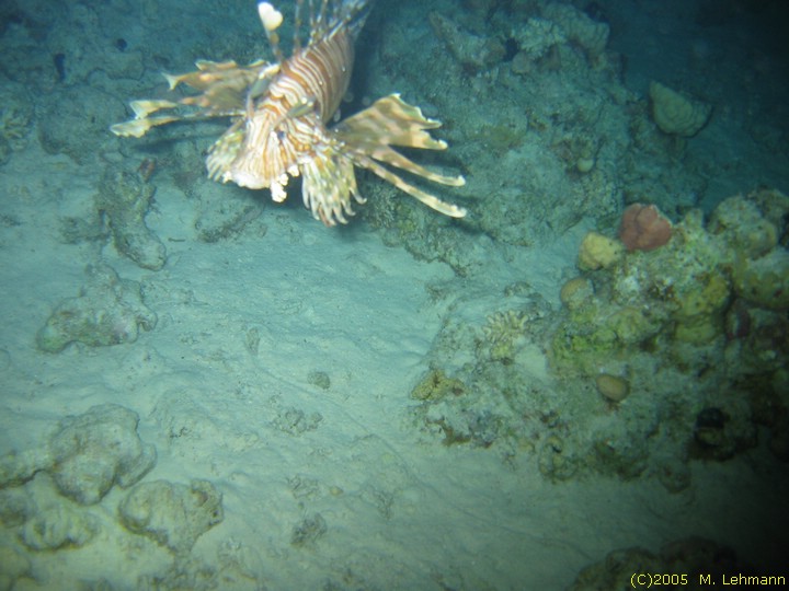 IMG_9770.JPG