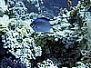 IMG_9665.JPG