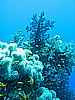 IMG_9668.JPG