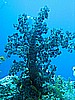 IMG_9669.JPG