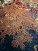 IMG_9673.JPG