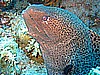 IMG_9677.JPG