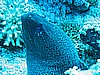IMG_9679.JPG