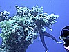 IMG_9695.JPG