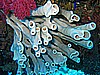 IMG_9697.JPG