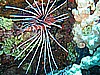 IMG_9698.JPG