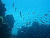 IMG_9702.JPG