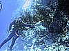 IMG_9703.JPG