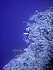IMG_9705.JPG