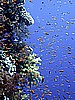 IMG_9707.JPG