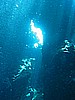 IMG_9709.JPG