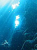 IMG_9710.JPG