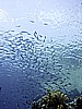 IMG_9712.JPG