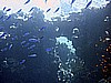 IMG_9714.JPG