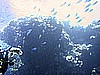 IMG_9715.JPG