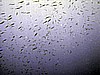 IMG_9716.JPG