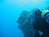 IMG_9725.JPG