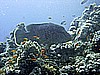 IMG_9726.JPG