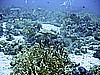 IMG_9729.JPG