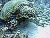 IMG_9731.JPG