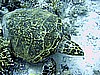 IMG_9732.JPG