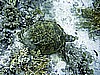 IMG_9733.JPG