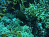 IMG_9734.JPG