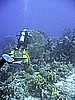 IMG_9735.JPG