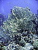 IMG_9737.JPG