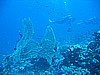 IMG_9741.JPG