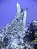 IMG_9742.JPG