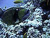 IMG_9743.JPG
