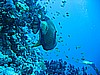IMG_9744.JPG