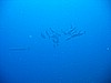 IMG_9745.JPG