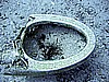 IMG_9746.JPG