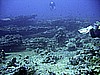 IMG_9747.JPG