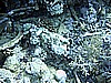 IMG_9748.JPG